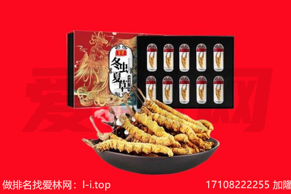 惠州惠阳区回收虫草.jpg